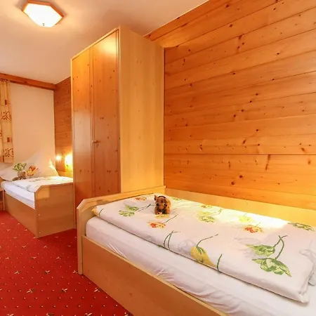 Mosshamhof Apartment Saalfelden Exterior photo